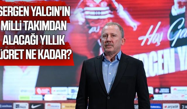 Sergen Yalcın'ın Milli Takımdan alacağı yıllık ücret ne kadar?
