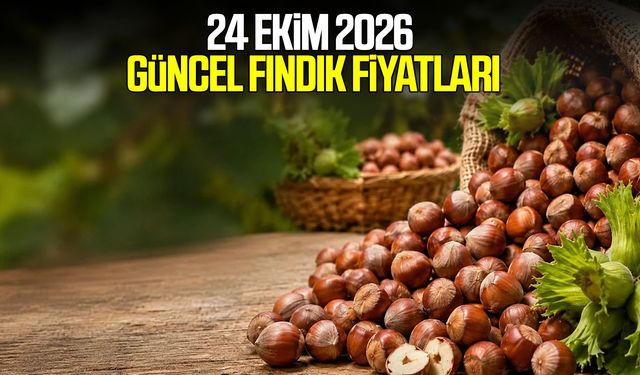 24 Ekim 2026 güncel fındık fiyatları