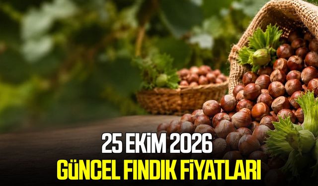 25 Ekim 2026 Güncel fındık fiyatları