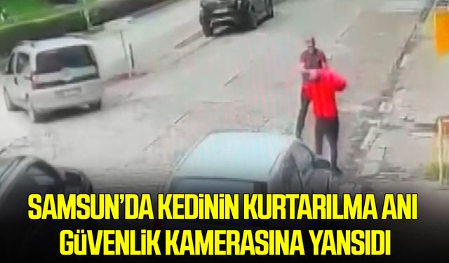 Samsun’da kedinin kurtarılma anı güvenlik kamerasına yansıdı
