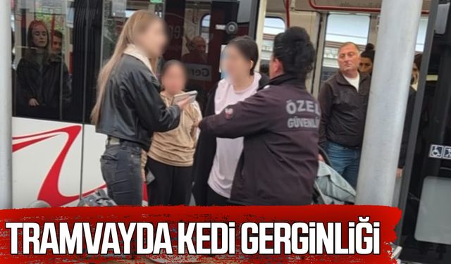 Samsun'da tramvayda kedi gerginliği