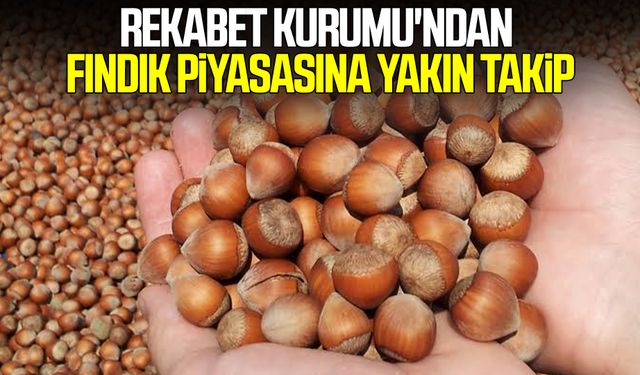 Rekabet Kurumu'ndan fındık piyasasına yakın takip