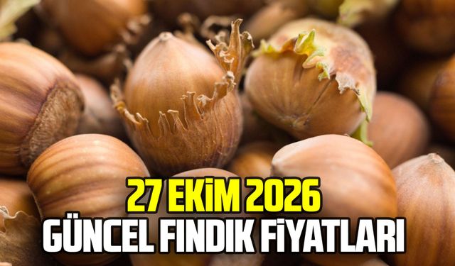 27 Ekim 2026 Güncel fındık fiyatları