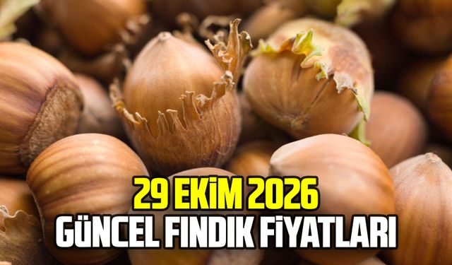 29 Ekim 2026 güncel fındık fiyatları