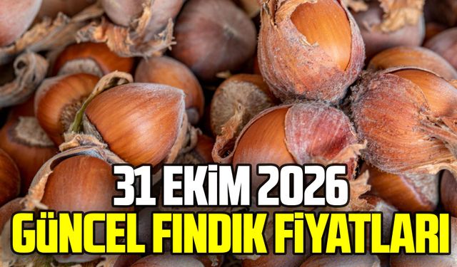 31 Ekim 2026 Güncel fındık fiyatları