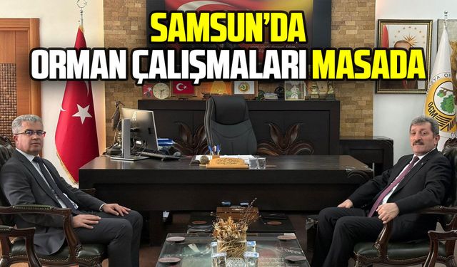 Vali Tavlı, Samsun’daki orman çalışmalarını değerlendirdi
