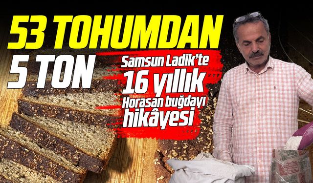 Emekli öğretmenden geleneksel buğday üretimi