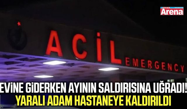 Evine giderken ayı saldırısına uğradı!