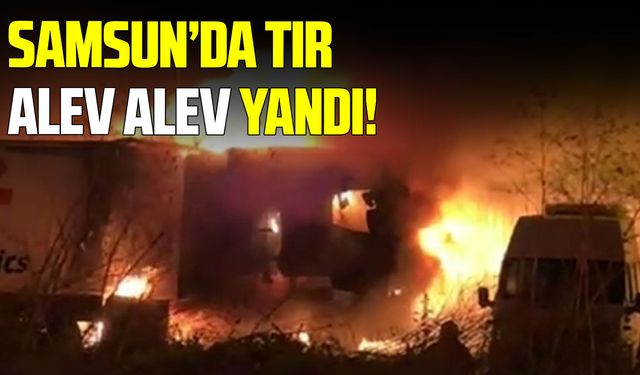 Samsun’da park halindeki tır alevlere teslim oldu