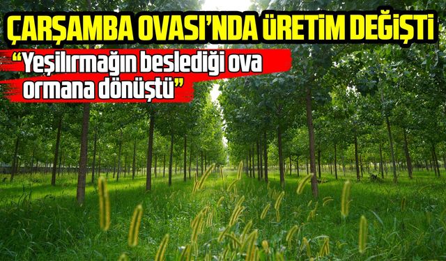 Samsun’un verimli ovasında üretim değişti