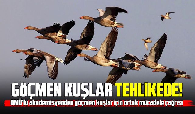 Samsun’dan dünyaya göçmen kuşları koruma çağrısı