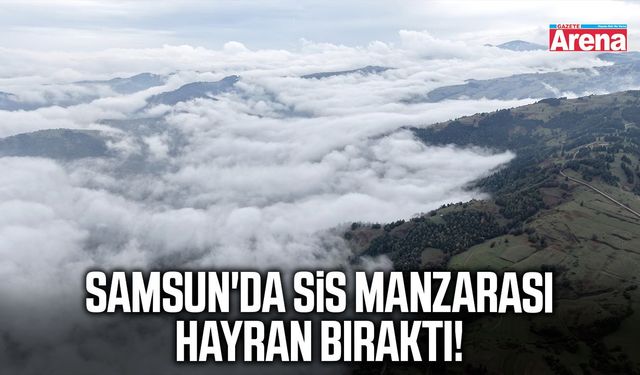 Samsun'da sis manzarası mest etti!