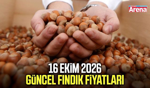 16 Ekim 2026 güncel fındık fiyatları