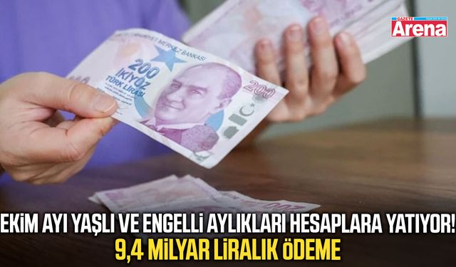 Ekim ayı yaşlı ve engelli aylıkları hesaplara yatıyor
