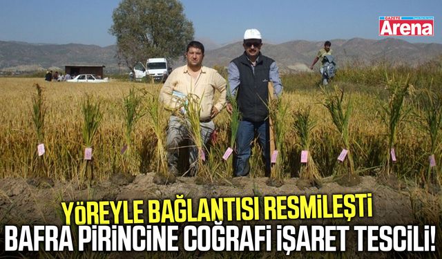 Bafra pirinci coğrafi işaretle tescillendi