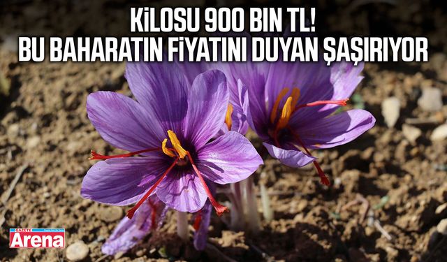 Adı kırmızı altın, fiyatı dudak uçuklatıyor
