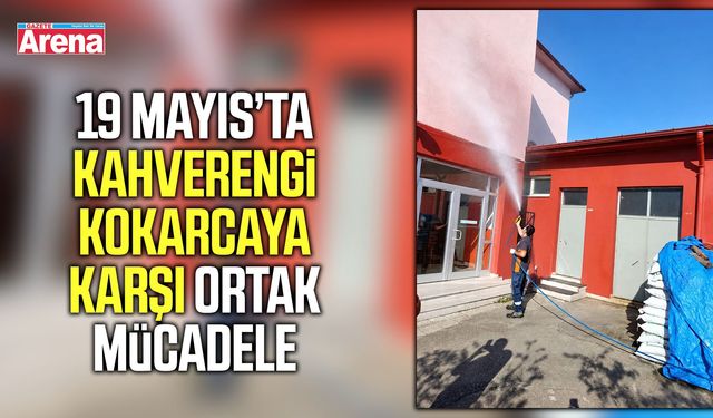 19 Mayıs’ta kahverengi kokarcaya karşı ortak mücadele