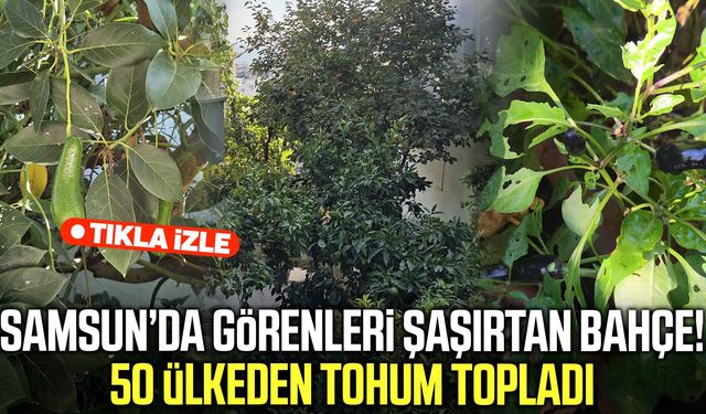 Samsun’da görenleri şaşırtan bahçe! 50 ülkeden tohum topladı