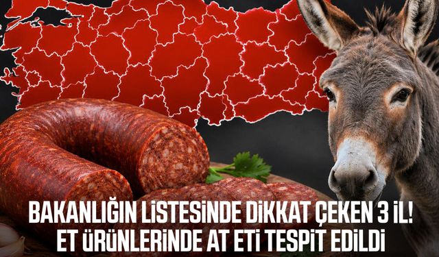 Vatandaşa at ve eşek eti yedirdiler! İşte 3 ildeki firmalar