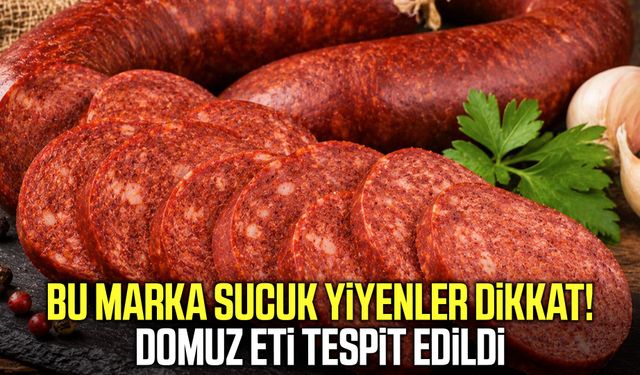 Dana sucukta domuz eti skandalı! Bakanlık markayı açıkladı