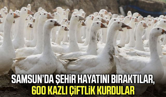 Samsun’da çocukluk hayali kaz çiftliğine dönüştü