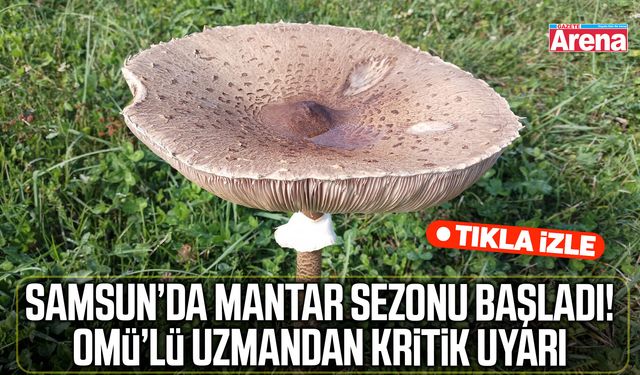 OMÜ’lü uzmandan mantar uyarısı: Doğadan toplayıp tüketmeyin!