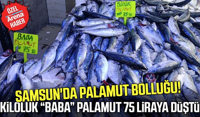 Samsun'da kiloluk baba palamut 75 liraya düştü!