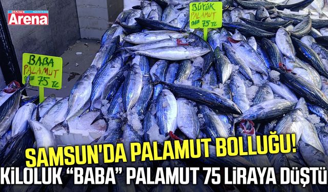Samsun'da kiloluk baba palamut 75 liraya düştü!