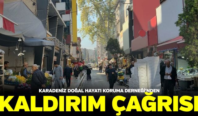 Karadeniz Doğal Hayatı Koruma Derneği'nden kaldırım çağrısı