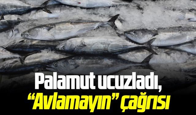 Palamut ucuzladı, Avlamayın çağrısı!