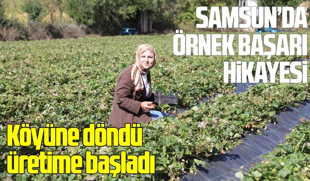 Peyzaj mimarı Samsun'da çilek üreticisi oldu