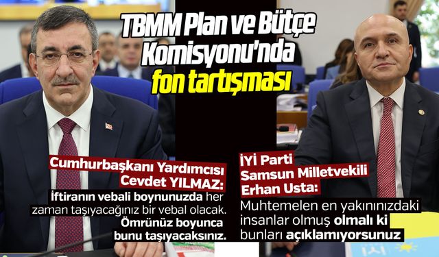 TBMM Plan ve Bütçe Komisyonu'nda fon tartışması