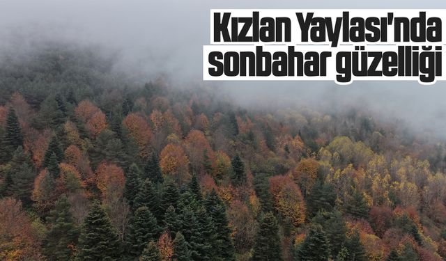 Kızlan Yaylası'nda sonbahar güzelliği