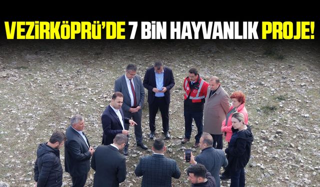 Vezirköprü’ye 7 bin büyükbaş hayvan kapasiteli besi bölgesi