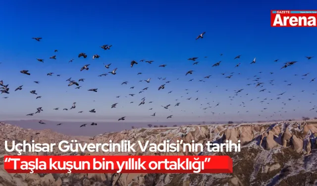 Uçhisar Güvercinlik Vadisi’nin tarihi “Taşla kuşun bin yıllık ortaklığı”