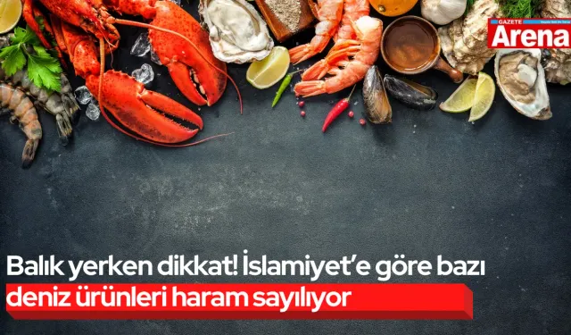 Balık yerken dikkat! İslamiyet’e göre bazı deniz ürünleri haram sayılıyor