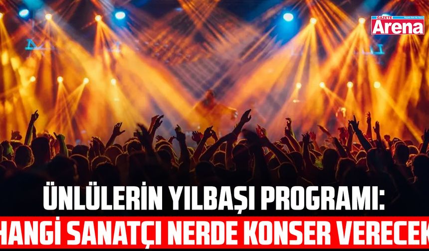 Ünlülerin yılbaşı programı!