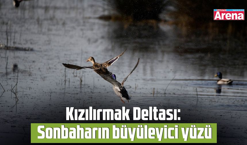 Kızılırmak Deltası: Sonbaharın büyüleyici yüzü