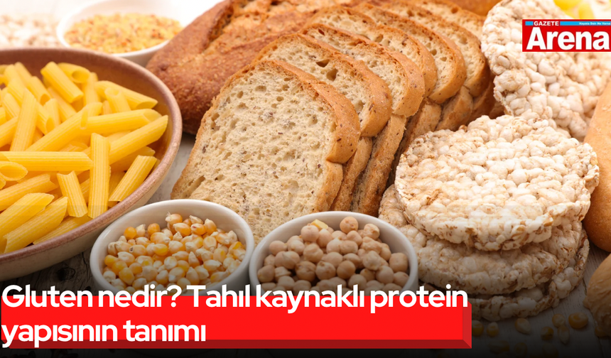 Gluten nedir? Tahıl kaynaklı protein yapısının tanımı