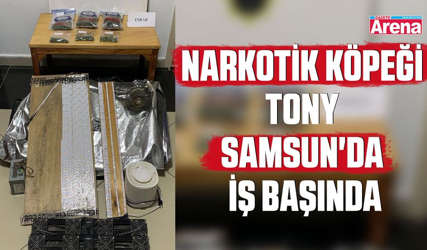 Narkotik köpeği Tony Samsun'da iş başında