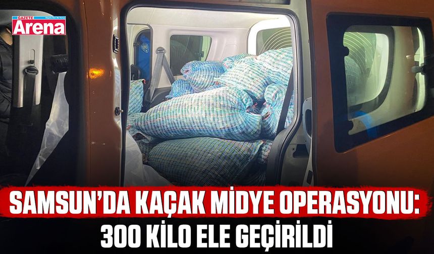 Samsun’da kaçak midye operasyonu: 300 Kilo ele geçirildi