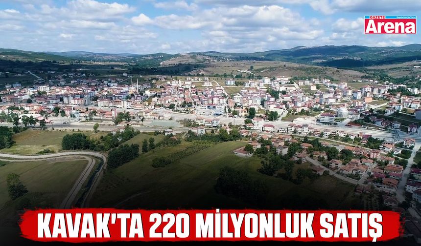 Kavak'ta 220 milyonluk satış