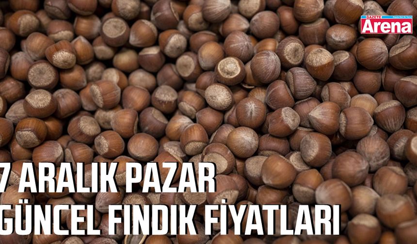 7 Aralık 2025 güncel fındık fiyatları