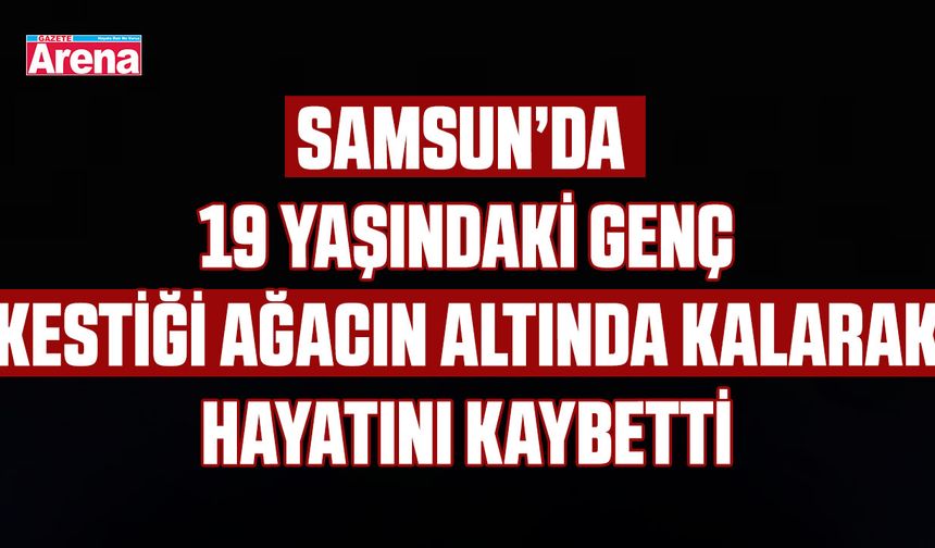 19 Yaşındaki genç kestiği ağacın altında kaldı