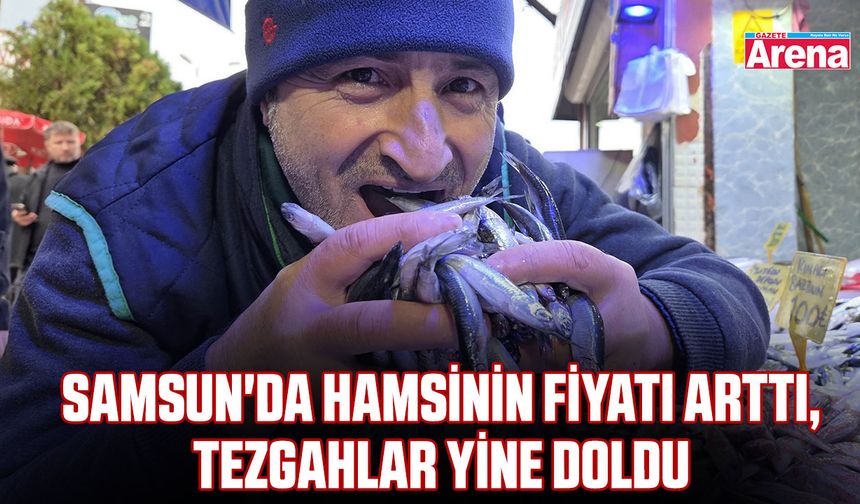 Samsun'da hamsinin fiyatı arttı, tezgahlar yine doldu
