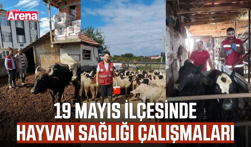 19 Mayıs’ta hayvan sağlığı çalışmaları sürüyor