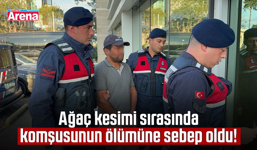 Ağaç kesimi sırasında komşusunun ölümüne sebep oldu!