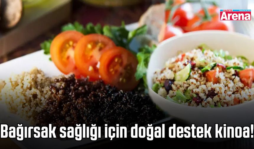 Bağırsak sağlığı için doğal destek kinoa!