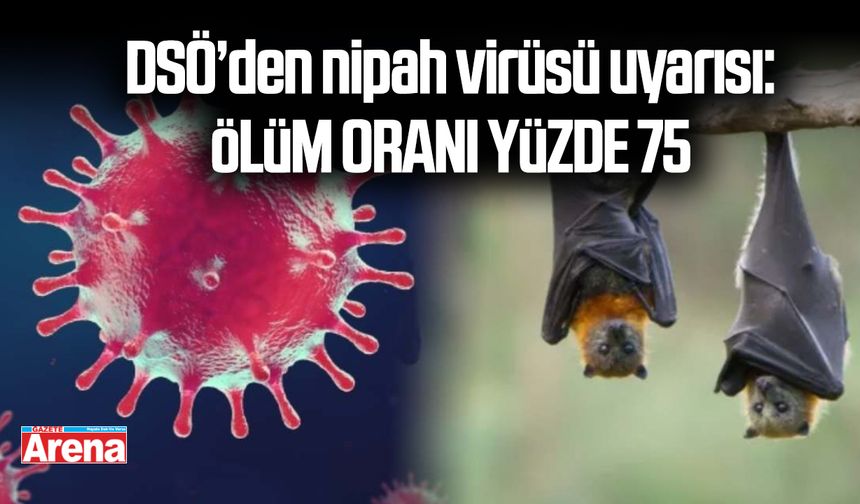 DSÖ’den nipah virüsü uyarısı: Ölüm oranı yüzde 75