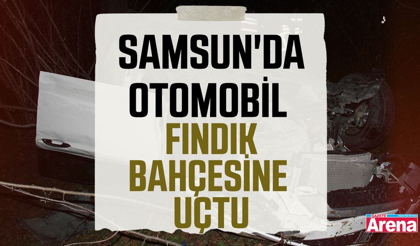 Samsun'da otomobil fındık bahçesine uçtu
